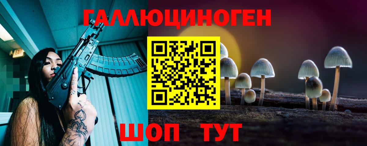 Галлюциногенные грибы Cubensis Алексеевка