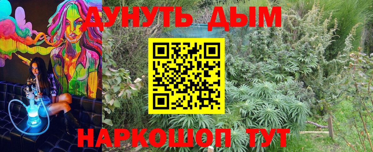 МАРИХУАНА план Алексеевка